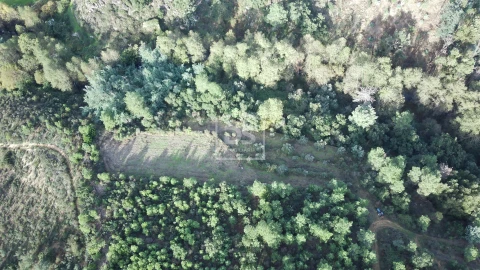 Terreno para Venda em Ninho do Açor e Sobral do Campo