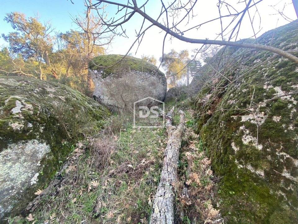 Terreno Agricola ou Rústico para Venda em Penamacor Foto 23