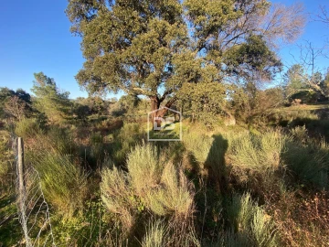 Terreno Agricola ou Rústico para Venda em Penamacor