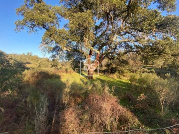 Terreno Agricola ou Rústico para Venda em Penamacor
