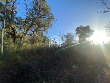Terreno Agricola ou Rústico para Venda em Penamacor