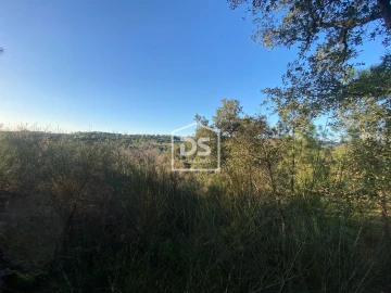 Terreno Agricola ou Rústico para Venda em Penamacor