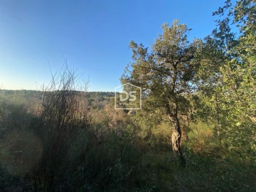 Terreno Agricola ou Rústico para Venda em Penamacor