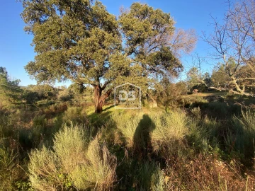 Terreno Agricola ou Rústico para Venda em Penamacor