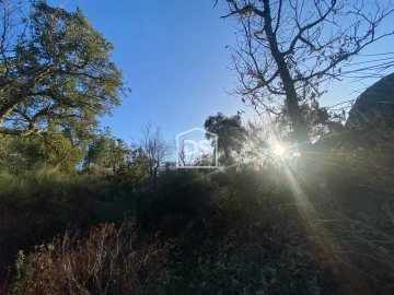 Terreno Agricola ou Rústico para Venda em Penamacor