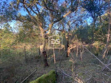 Terreno Agricola ou Rústico para Venda em Penamacor