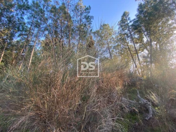 Terreno Agricola ou Rústico para Venda em Penamacor