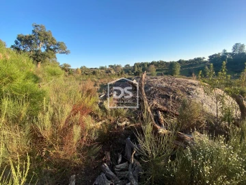 Terreno Agricola ou Rústico para Venda em Penamacor