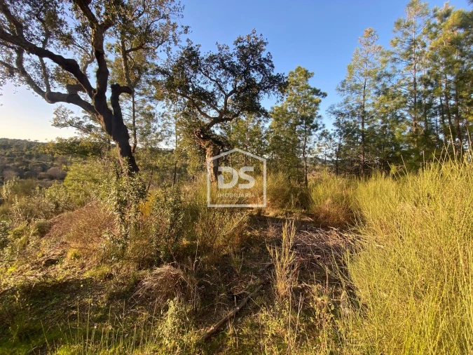 Terreno Agricola ou Rústico para Venda em Penamacor Foto 6