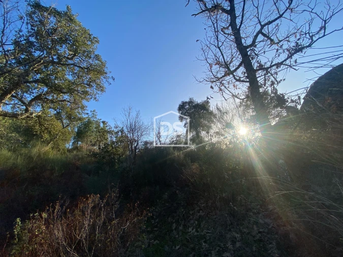 Terreno Agricola ou Rústico para Venda em Penamacor Foto 24