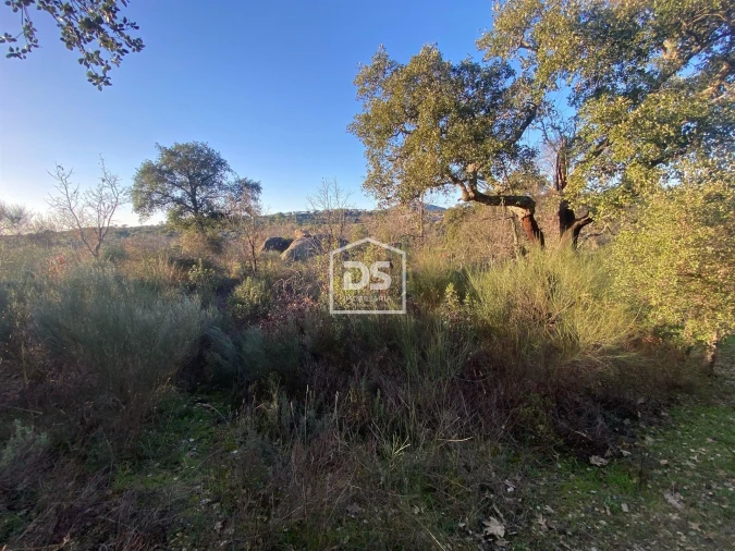 Terreno Agricola ou Rústico para Venda em Penamacor Foto 15