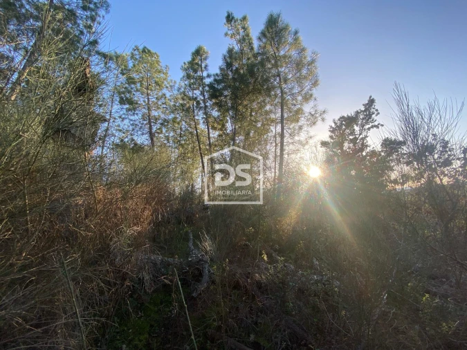 Terreno Agricola ou Rústico para Venda em Penamacor Foto 7