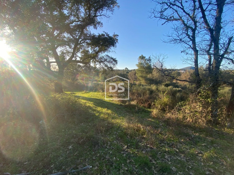 Terreno Agricola ou Rústico para Venda em Penamacor Foto 1