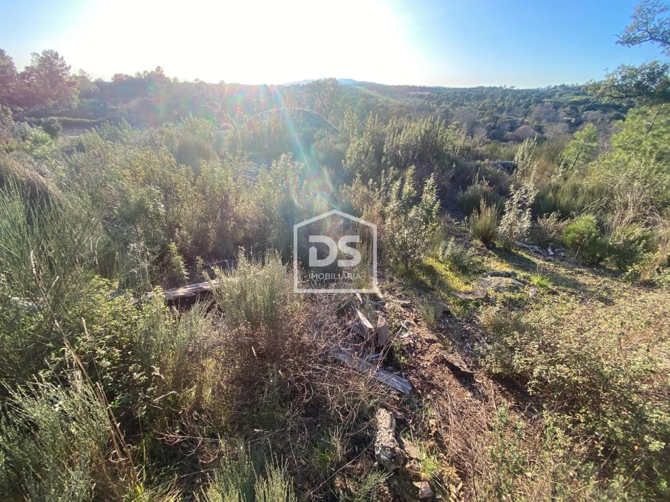 Terreno Agricola ou Rústico para Venda em Penamacor Foto 2