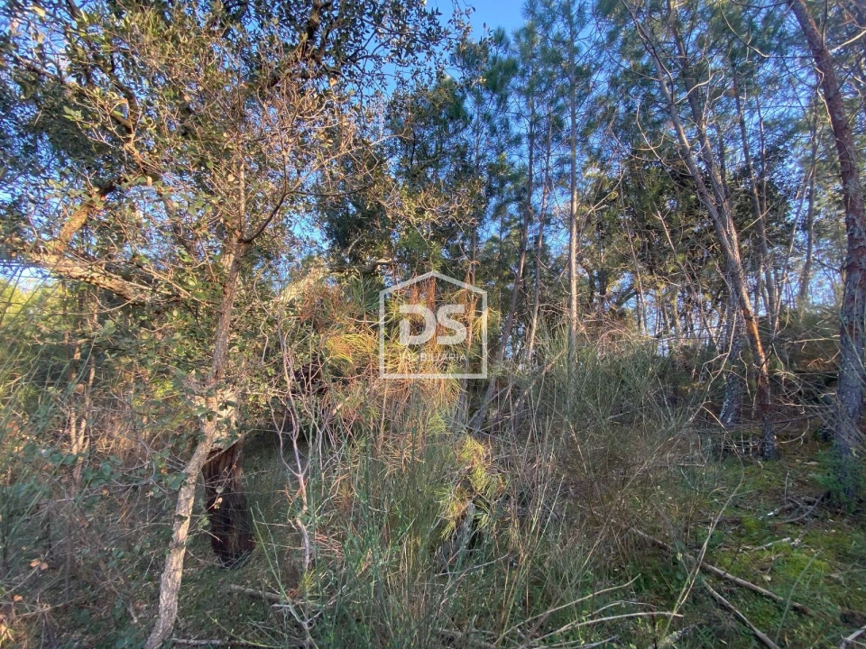Terreno Agricola ou Rústico para Venda em Penamacor Foto 12