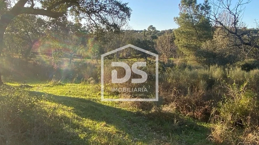Terreno Agricola ou Rústico para Venda em Penamacor