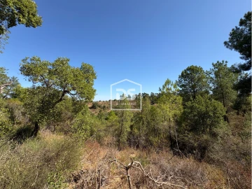 Terreno para Venda em Malpica do Tejo