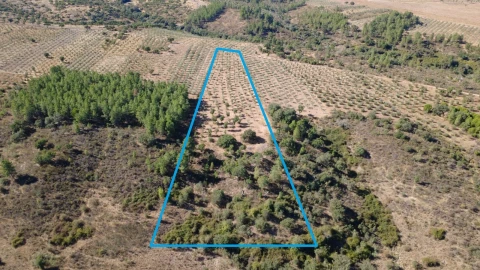 Terreno para Venda em Malpica do Tejo