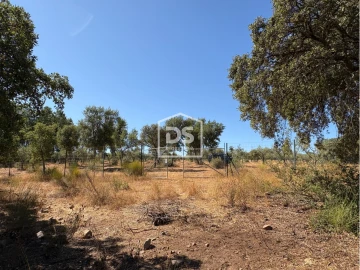 Terreno para Venda em Malpica do Tejo