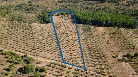 Terreno para Venda em Malpica do Tejo