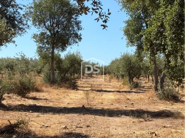 Terreno para Venda em Malpica do Tejo