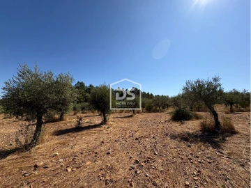 Terreno para Venda em Malpica do Tejo