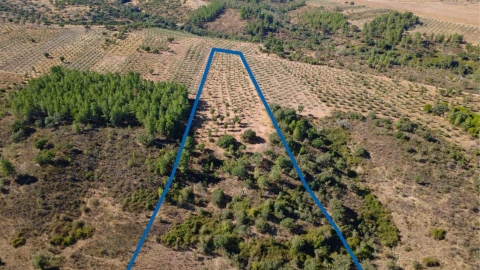 Terreno para Venda em Malpica do Tejo