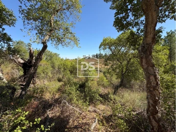Terreno para Venda em Malpica do Tejo