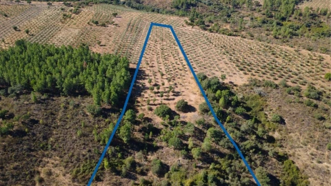 Terreno para Venda em Malpica do Tejo