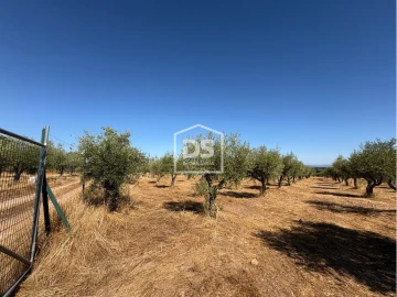 Terreno para Venda em Malpica do Tejo