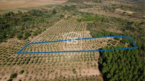 Terreno para Venda em Malpica do Tejo