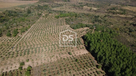 Terreno para Venda em Malpica do Tejo