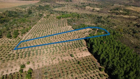 Terreno para Venda em Malpica do Tejo