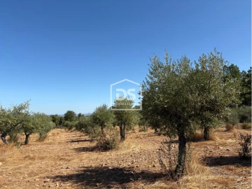 Terreno para Venda em Malpica do Tejo