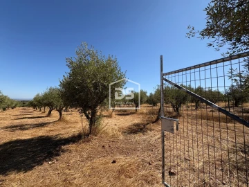 Terreno para Venda em Malpica do Tejo