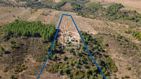 Terreno para Venda em Malpica do Tejo