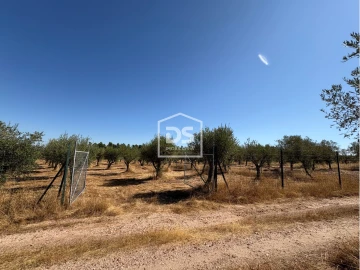 Terreno para Venda em Malpica do Tejo