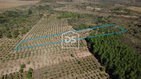Terreno para Venda em Malpica do Tejo