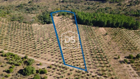 Terreno para Venda em Malpica do Tejo