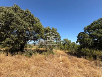 Terreno para Venda em Malpica do Tejo