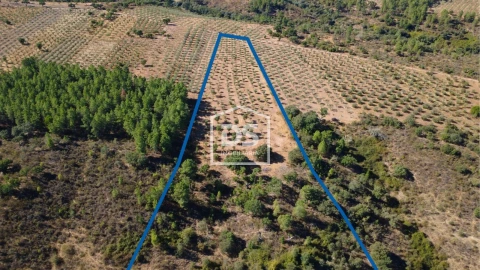 Terreno para Venda em Malpica do Tejo