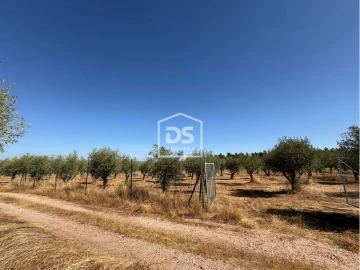 Terreno para Venda em Malpica do Tejo