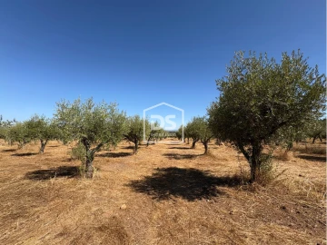 Terreno para Venda em Malpica do Tejo