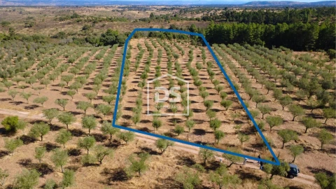 Terreno para Venda em Malpica do Tejo