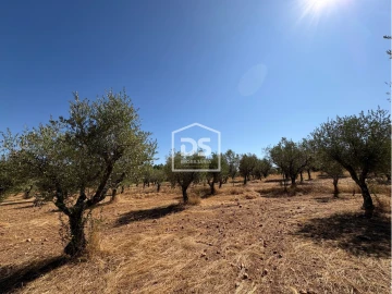 Terreno para Venda em Malpica do Tejo