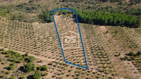 Terreno para Venda em Malpica do Tejo