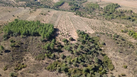 Terreno para Venda em Malpica do Tejo
