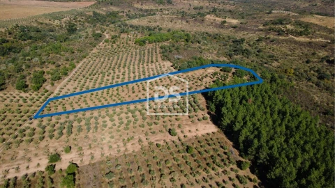 Terreno para Venda em Malpica do Tejo