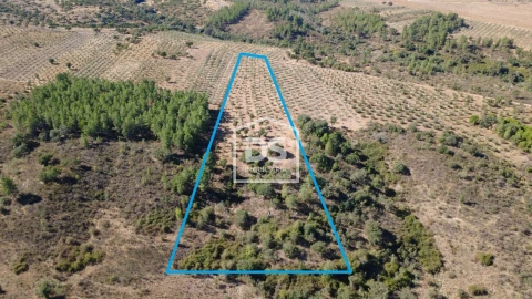 Terreno para Venda em Malpica do Tejo