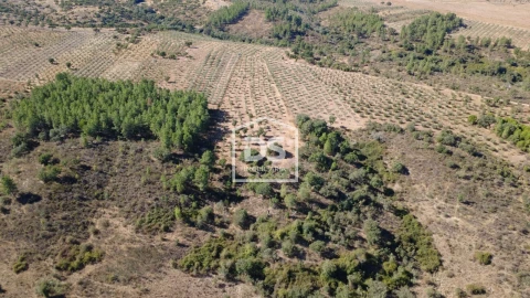 Terreno para Venda em Malpica do Tejo